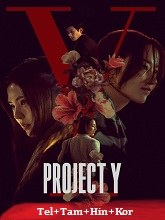 Project Y